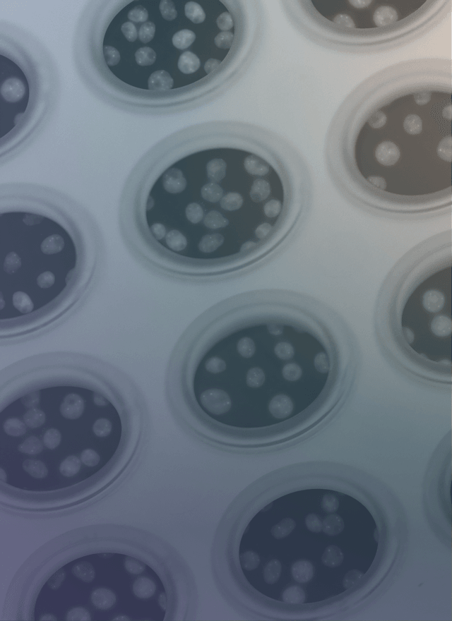 BioTech-Revolution